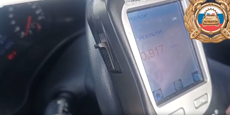 В Ряжском районе полиция задержала 62-летнего пьяного водителя на ВАЗ