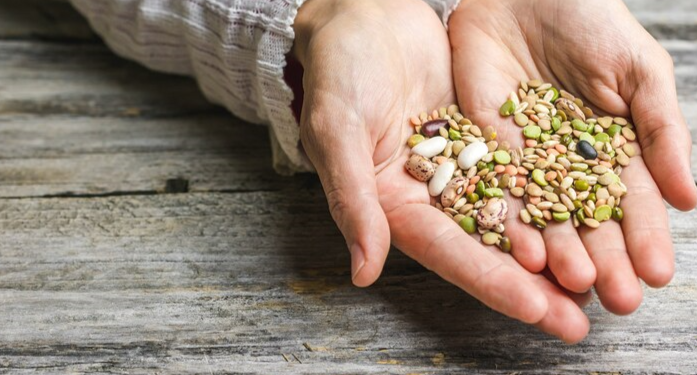 В Рязанском регионе незаконно продавали более 50 сортов семян В Рязанском регионе незаконно продавали более 50 сортов семян