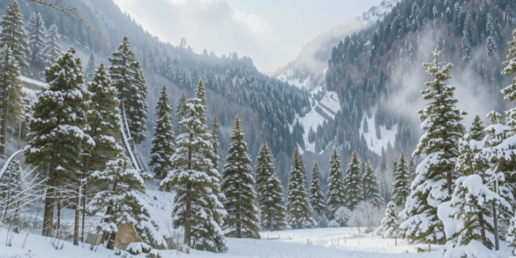 В ночь на четверг в Рязанской области похолодает до -15 градусов