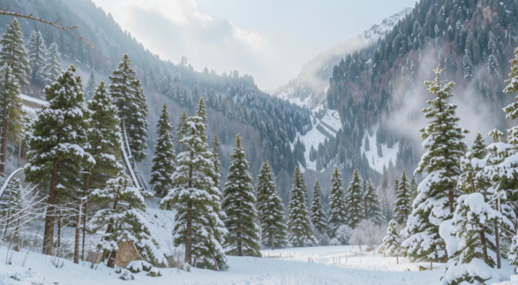 В ночь на четверг в Рязанской области похолодает до -15 градусов