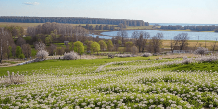 Тишковец: весна придет в Центральную Россию раньше срока на 2-3 недели