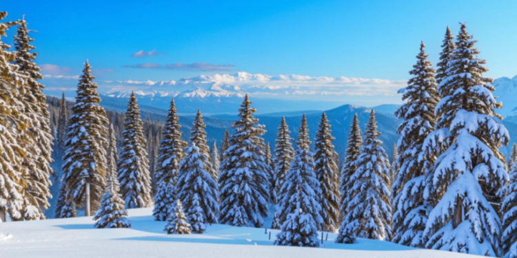 Метеоролог Позднякова: 23 февраля в Центральной России ожидается небольшое похолодание