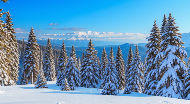 Метеоролог Позднякова: 23 февраля в Центральной России ожидается небольшое похолодание