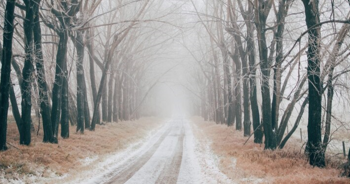 Рязанцев предупредили о тумане 20 февраля Рязанцев предупредили о тумане 20 февраля