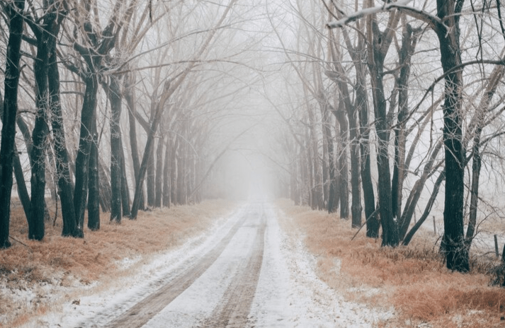 Рязанцев предупредили о тумане 20 февраля