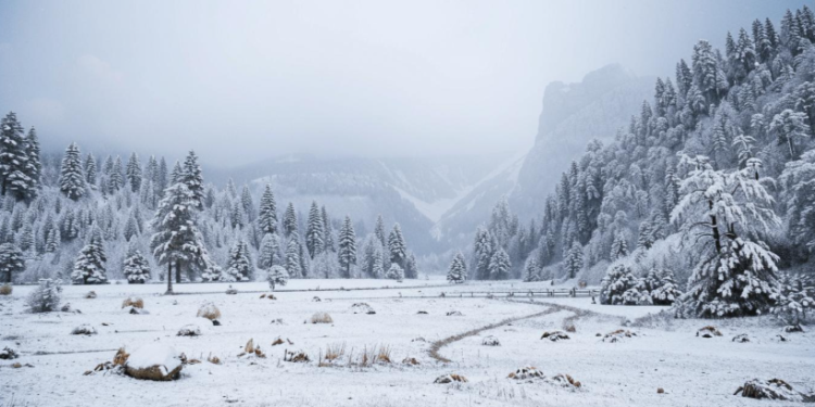 В ночь на 24 февраля в Рязанской области похолодает до -18 градусов