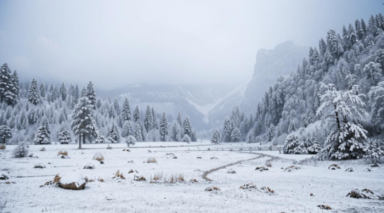 В ночь на 24 февраля в Рязанской области похолодает до -18 градусов