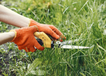 В Рязани ищут подрядчику для работ по покосу газонов В Рязани ищут подрядчику для работ по покосу газонов