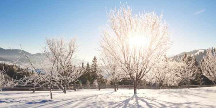 Синоптик Позднякова: 1 и 2 марта в Центральную Россию уже придет весна