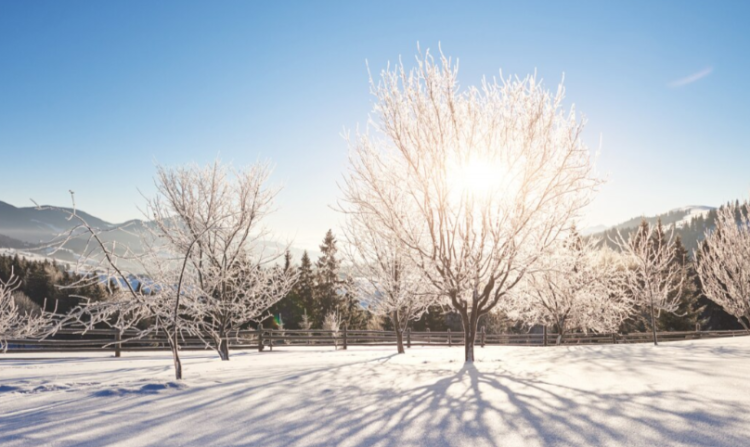 Синоптик Позднякова: 1 и 2 марта в Центральную Россию уже придет весна