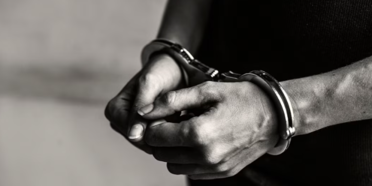 Раскрыто убийство двух девушек в Рязани 27-летней давности Раскрыто убийство двух девушек в Рязани 27-летней давности