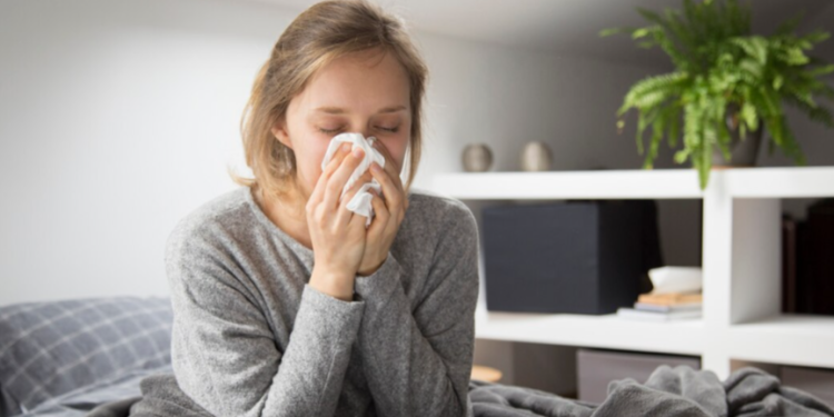 В 2024 году в Рязанской области зафиксировано несколько случаев лихорадки Западного Нила