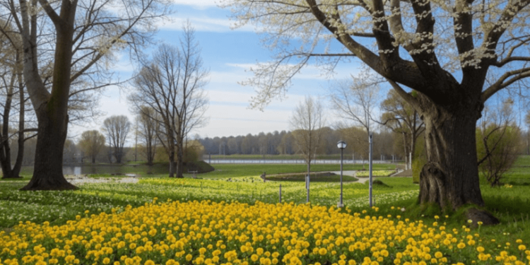 Позднякова: в начале марта в Центральной России ожидается экстремальное тепло