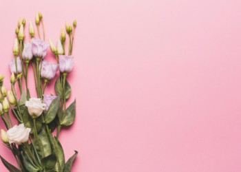 Рязанцев предупредили об активности мошенников в преддверии 8 марта