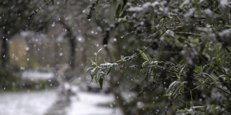 В среду в Рязанской области ожидается мокрый снег и до +5 градусов