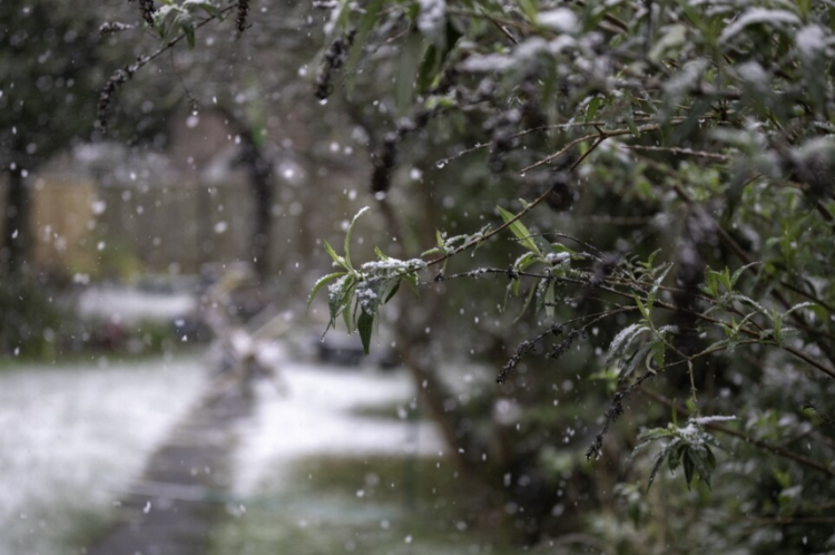 В среду в Рязанской области ожидается мокрый снег и до +5 градусов