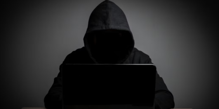 Рязанская область признана лучшей по эффективности борьбы с дропперами Рязанская область признана лучшей по эффективности борьбы с дропперами