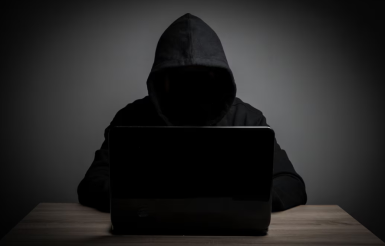 Рязанская область признана лучшей по эффективности борьбы с дропперами