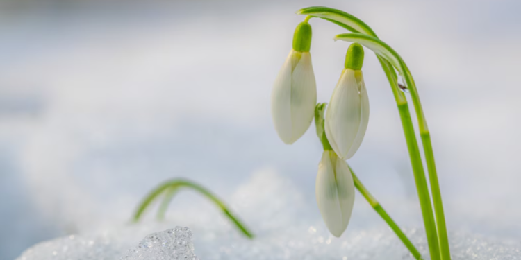 В субботу в Рязанской области ожидается до +9 градусов