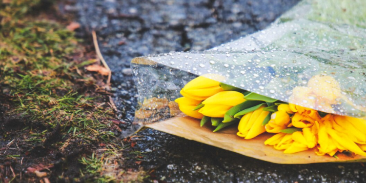 Синоптик Вильфанд пообещал россиянам теплый март