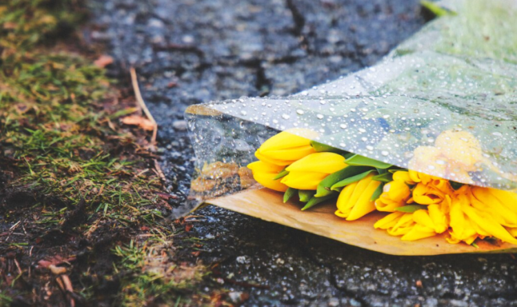 Синоптик Вильфанд пообещал россиянам теплый март