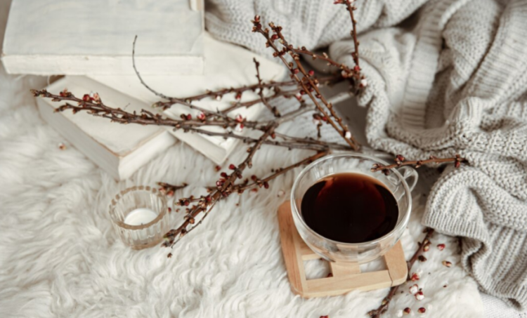 Во вторник в Рязанской области потеплеет до +15 градусов