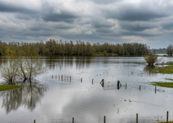 В Гидрометцентре рассказали, каким будет весеннее половодье в Рязанской области В Гидрометцентре рассказали, каким будет весеннее половодье в Рязанской области