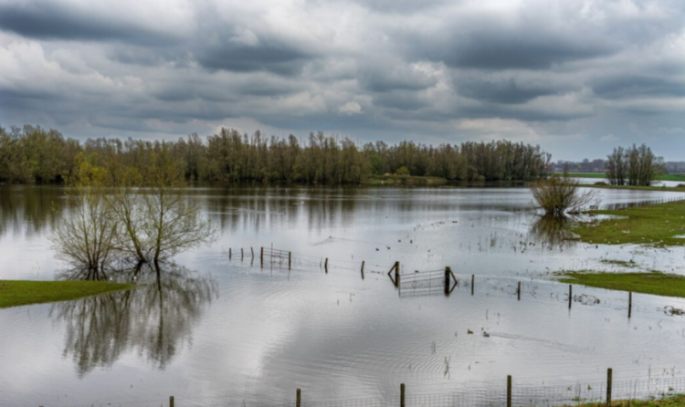 В Гидрометцентре рассказали, каким будет весеннее половодье в Рязанской области
