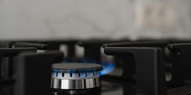 Рязанцев предупредили о новой мошеннической схеме с помощью сервиса «Мой Газ»