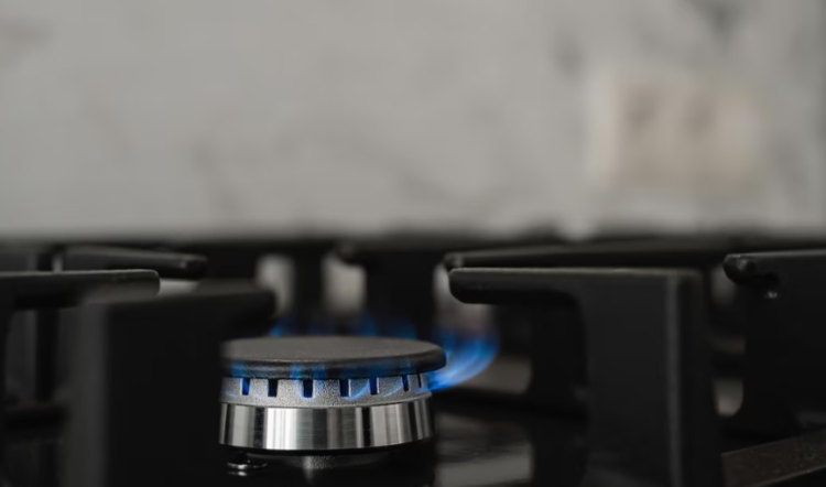 Рязанцев предупредили о новой мошеннической схеме с помощью сервиса «Мой Газ»