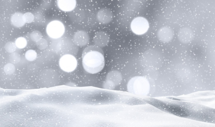 Тишковец: в выходные рязанцев ждет последний "визит зимы"