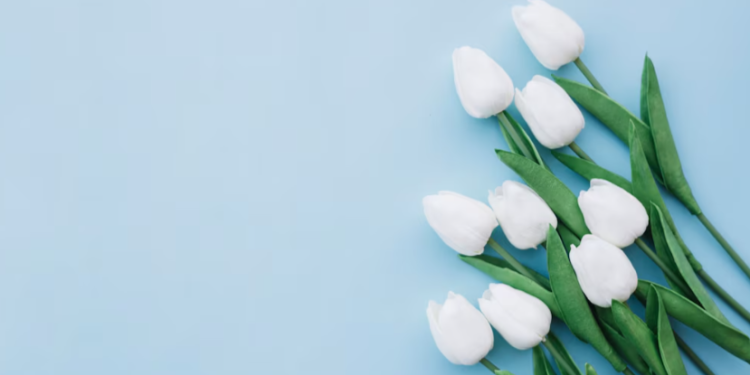 В апреле в Центральной России ожидается переменчивая погода В апреле в Центральной России ожидается переменчивая погода