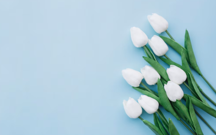 В апреле в Центральной России ожидается переменчивая погода