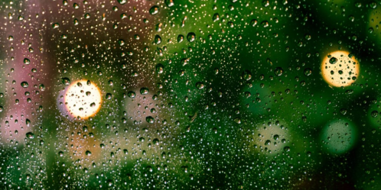 В пятницу в Рязанской области ожидается небольшой дождь и до +17 градусов