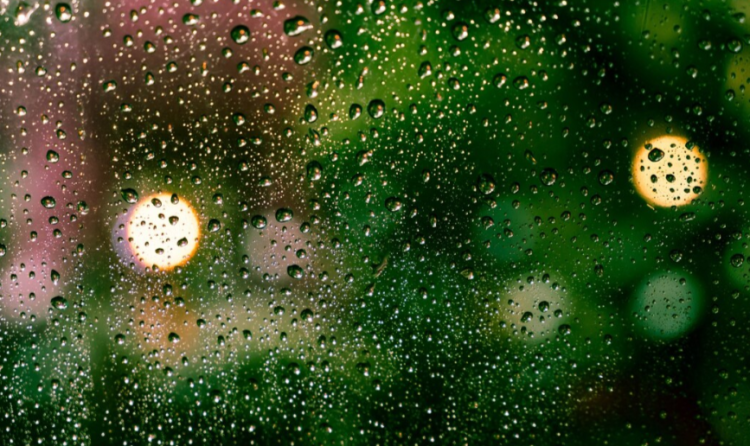 В пятницу в Рязанской области ожидается небольшой дождь и до +17 градусов