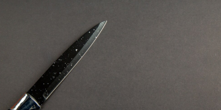 На улице Чкалова мигранты устроили кровавую поножовщину