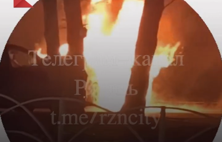 В рязанской Дашково-Песочне сгорел автомобиль