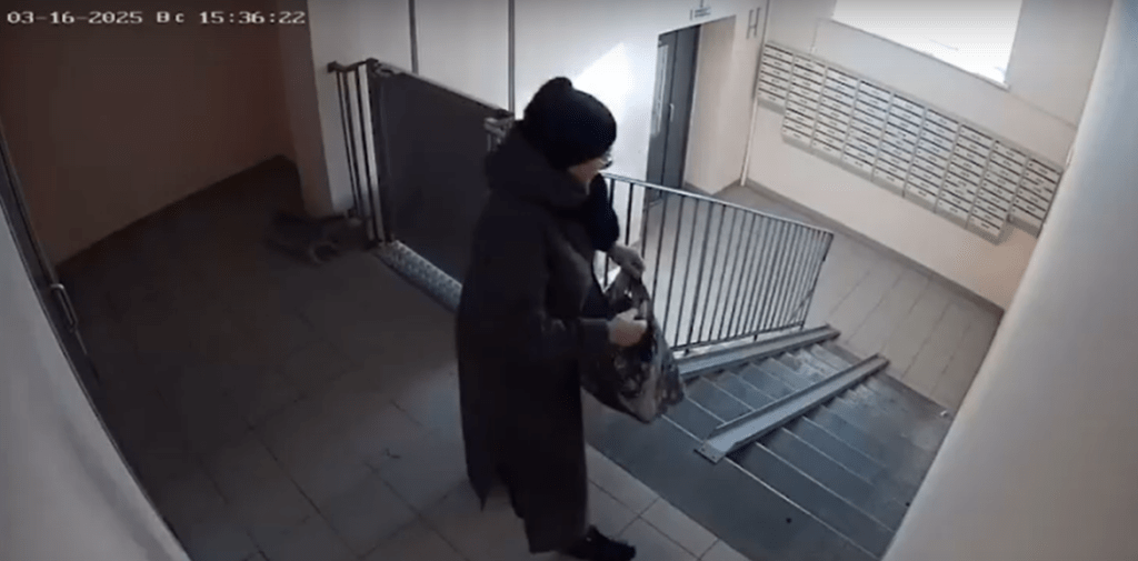 На улице Шереметьевской женщина принесла в подъезд дома кота в пакете и оставила его