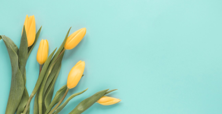 Синоптик Позднякова: апрель в Центральной России будет теплее нормы на 3 градуса