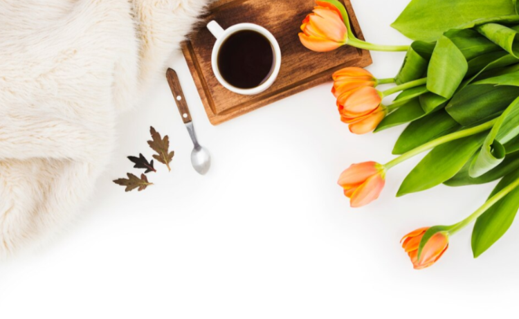 Вильфанд: в конце марта в Центральной России ожидается до +15 градусов