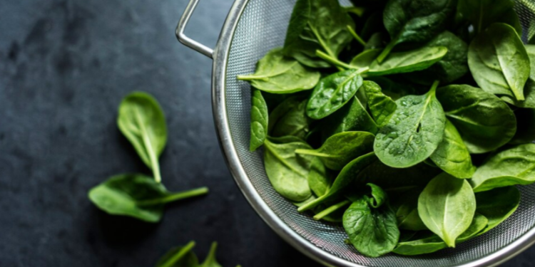 Гастроэнтеролог Сухорукова: шпинат поможет подавить аппетит