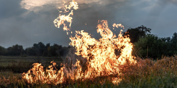 В Рыбновском районе введен режим повышенной готовности