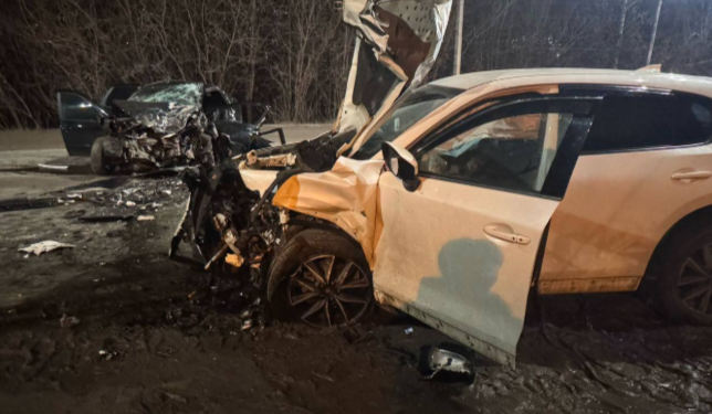 Рязанские полицейские прокомментировали ДТП на Ряжском шоссе, в котором пострадал младенец