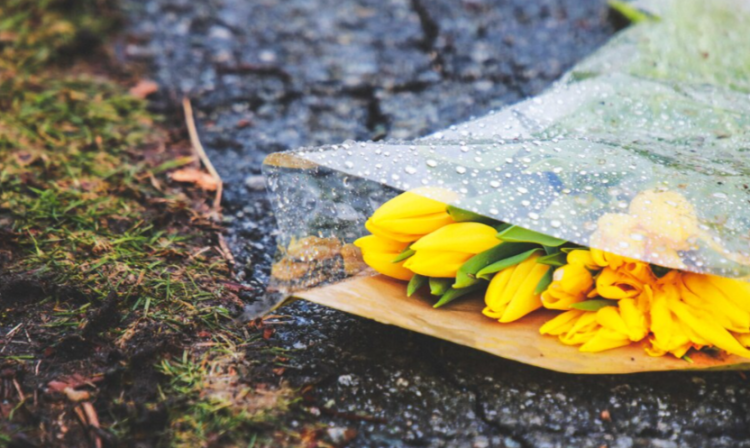 В пятницу в Рязанской области ожидается дождь и до +13 градусов