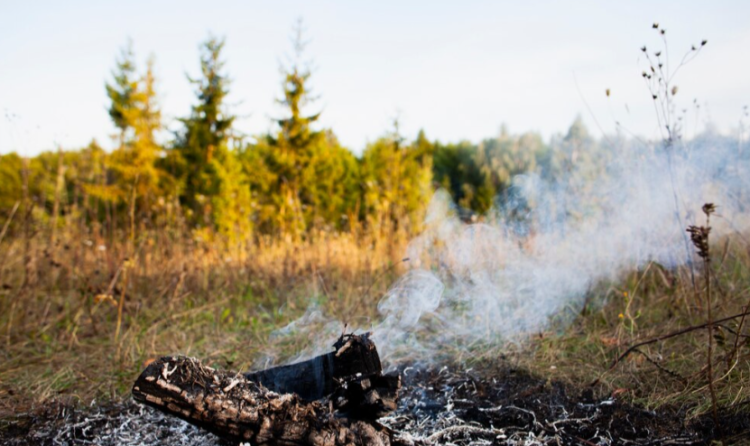 С 28 марта в Рязанской области начнет действовать особый противопожарный режим