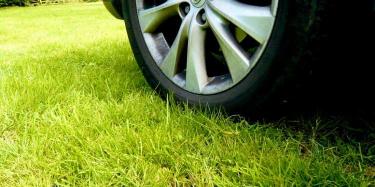 С начала 2025 года в Рязани оштрафовали 627 водителей, парковавшихся на газонах