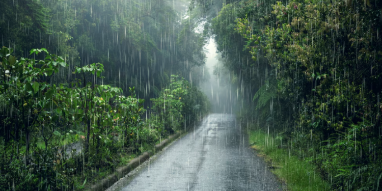 Синоптик Тишковец предупредил россиян о резком ухудшении погоды со вторника Синоптик Тишковец предупредил россиян о резком ухудшении погоды со вторника