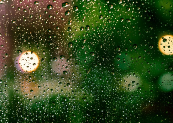 Гидрометцентр: в ночь на 1 апреля в Рязанской области ожидаются дожди Гидрометцентр: в ночь на 1 апреля в Рязанской области ожидаются дожди