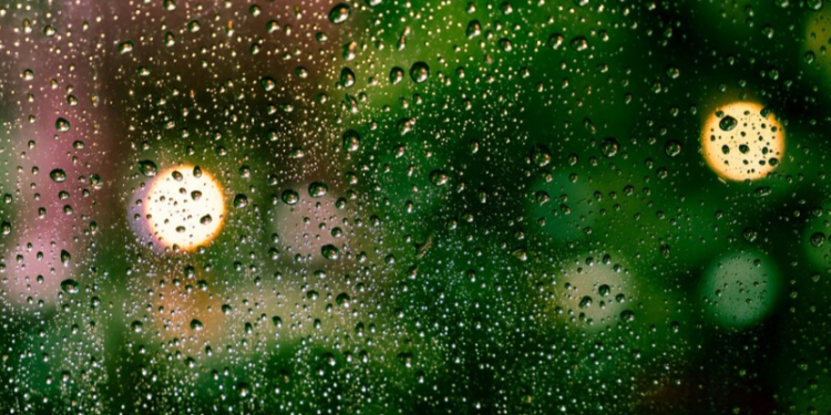 Гидрометцентр: в ночь на 1 апреля в Рязанской области ожидаются дожди