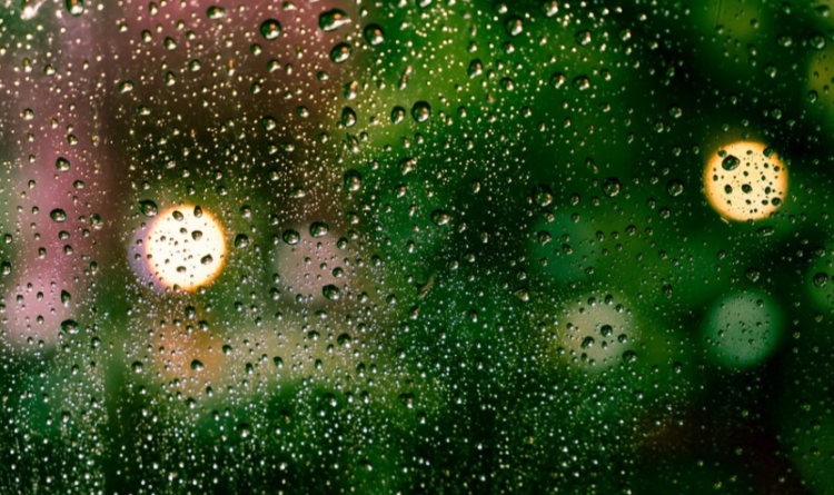 Гидрометцентр: в ночь на 1 апреля в Рязанской области ожидаются дожди